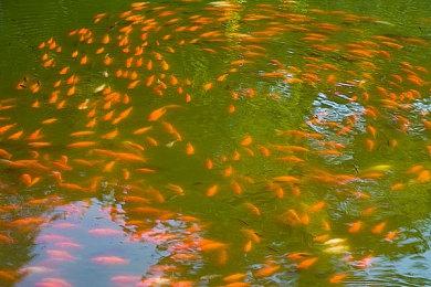 世嘉相关爆料人发帖推测任天堂NS2主机开发代号