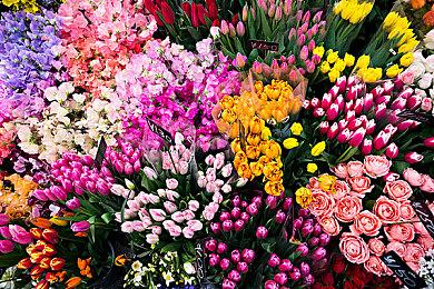 《寂静岭f》新视频和截图 阴森诡异让人恐惧