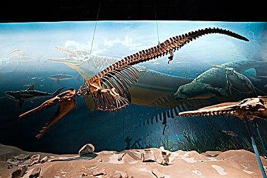 《宝可梦传说 Z-A》售前更新发布 发售后即可体验在线内容